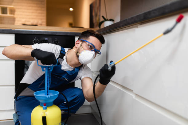 Best Pest Control Cost  in Cypress Landing, NC