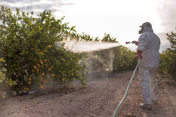Best Wildlife Control Services  in Cypress Landing, NC