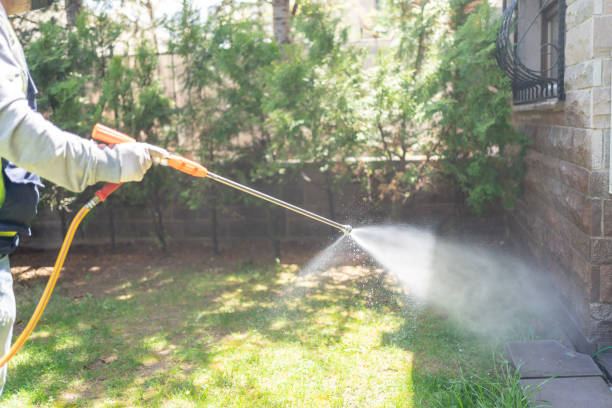 Best Local Pest Control Services  in Cypress Landing, NC