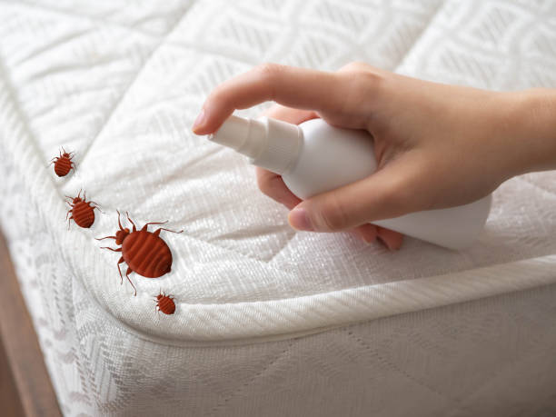 Best Flea Control Services  in Cypress Landing, NC